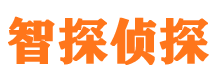 内江市婚姻调查